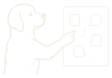 A Labrador pointing things out